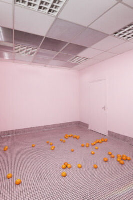 5050