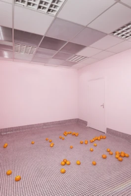 5050